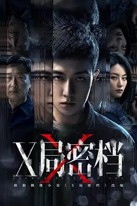 《X局密档》深度解析：揭秘尘封档案，探寻真相迷雾，不容错过的悬疑佳作！