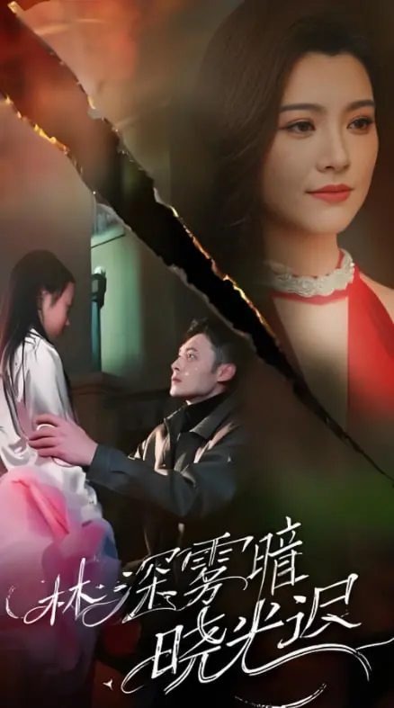 《林深雾暗晓光迟》影评：迷雾中寻找希望，黑暗后终见曙光，情感救赎之旅