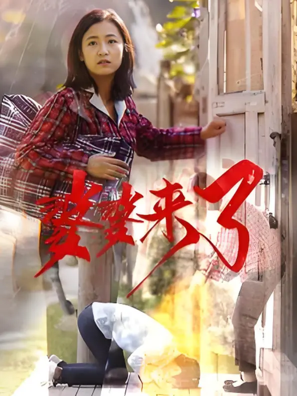 《婆婆来了》：媳妇难当？揭秘中国式婆媳关系的爱恨情仇与生存法则