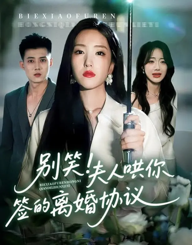 《别笑夫人哄你签的离婚协议》：一场啼笑皆非的婚姻博弈，看“被逼”签协议后的反转人生